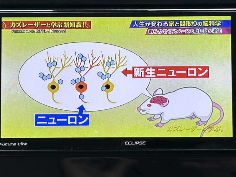 沖縄中古車探しはネクサスユーカー nexusU-Car