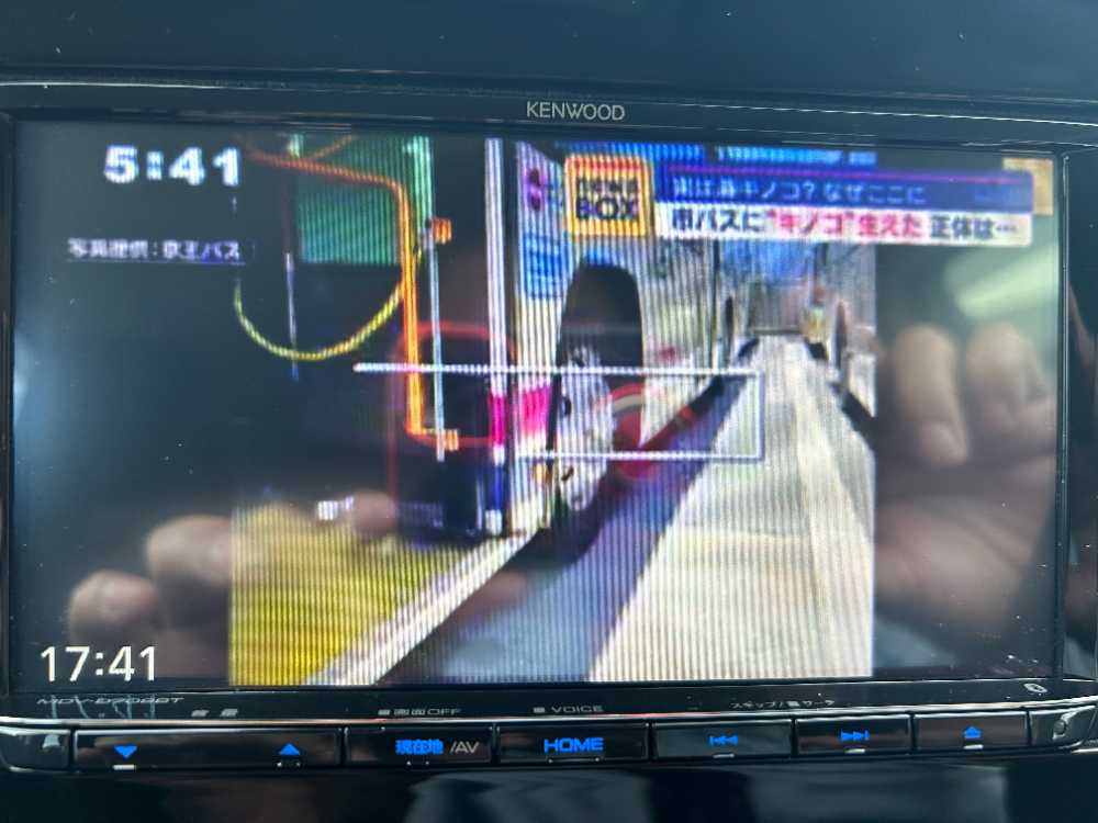 沖縄中古車探しはネクサスユーカー nexusU-Car