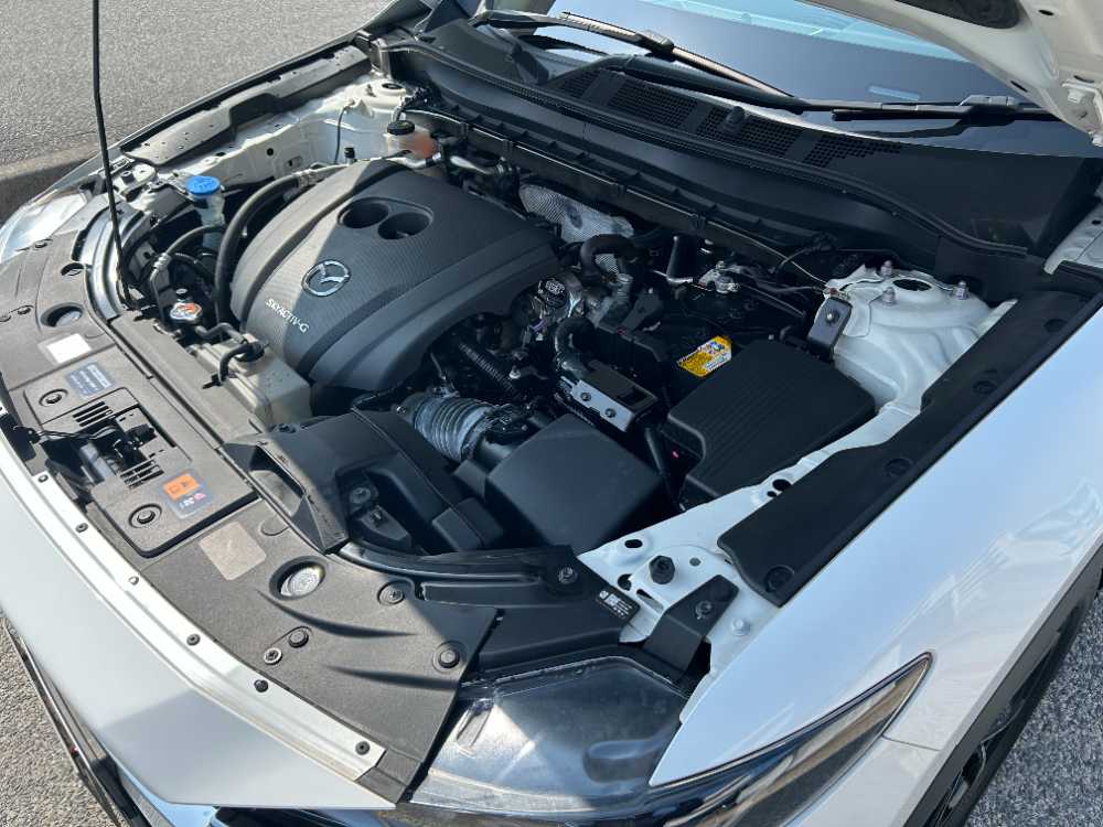 沖縄中古車探しはネクサスユーカー nexusU-Car