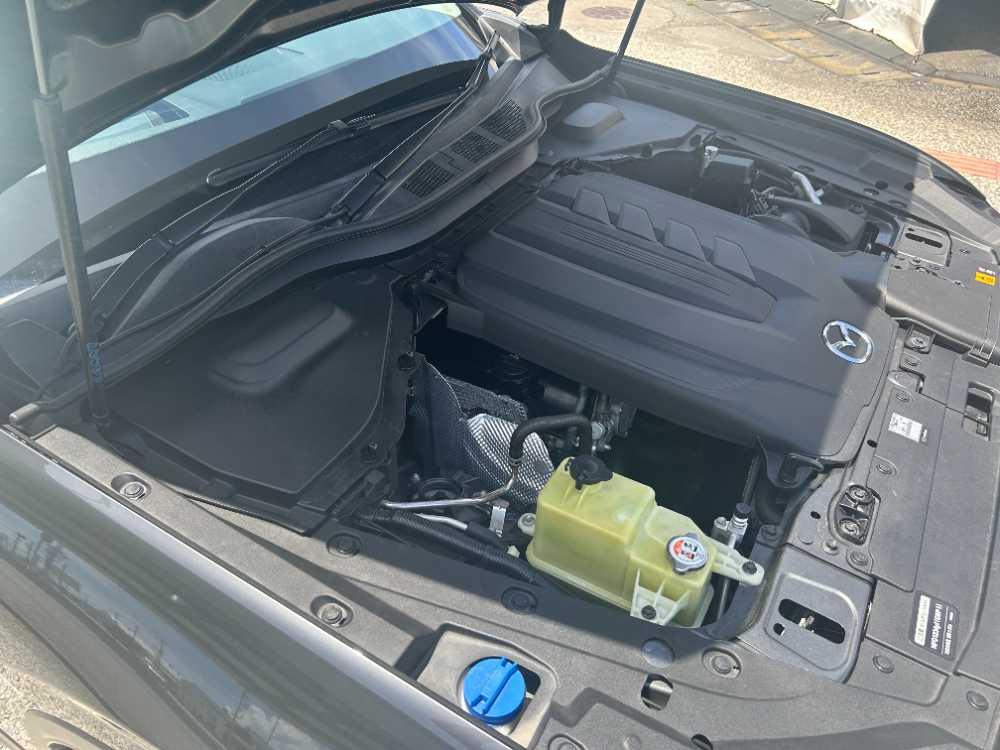 沖縄中古車探しはネクサスユーカー nexusU-Car