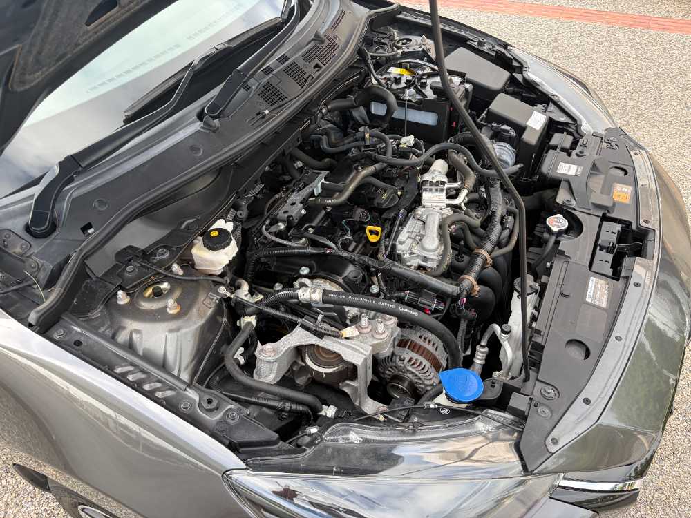 沖縄中古車探しはネクサスユーカー nexusU-Car
