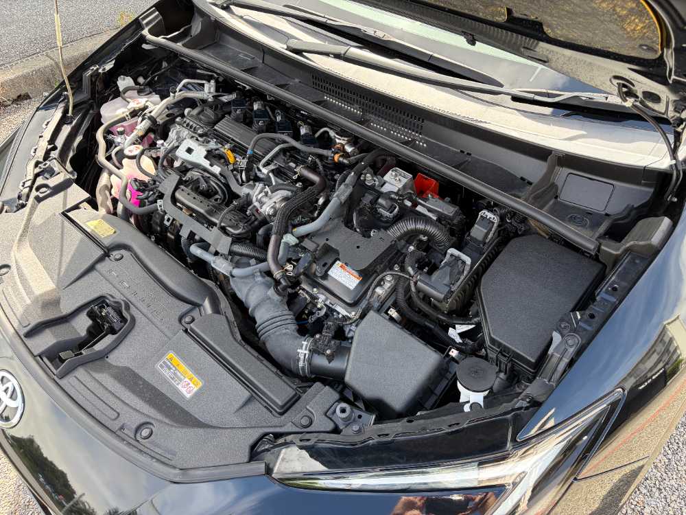 沖縄中古車探しはネクサスユーカー nexusU-Car